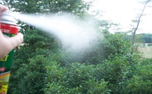 spray antivespe