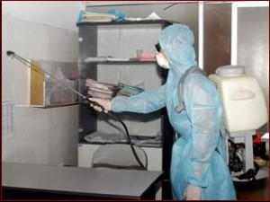 disinfestazione